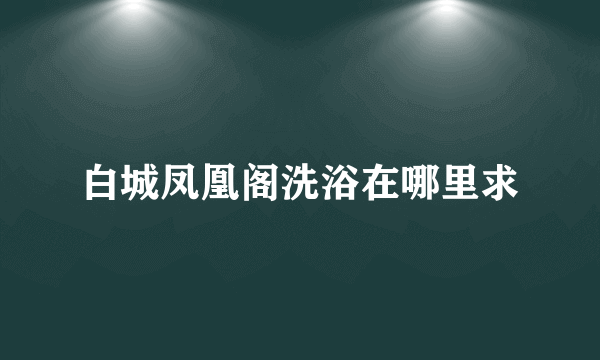 白城凤凰阁洗浴在哪里求