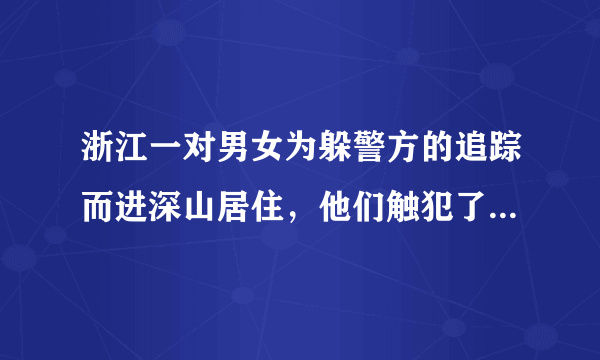 浙江一对男女为躲警方的追踪而进深山居住，他们触犯了哪些法律法规？