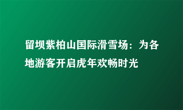 留坝紫柏山国际滑雪场：为各地游客开启虎年欢畅时光