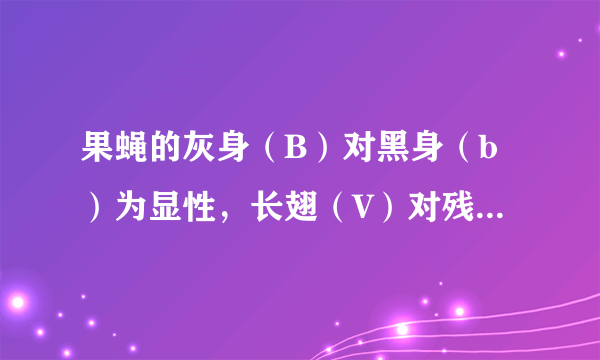 果蝇的灰身（B）对黑身（b）为显性，长翅（V）对残翅（v）为显性，两对基因独立遗传。下列有关灰身长翅果蝇（BbVv）雌雄个体交配产生的后代叙述正确的是（　　）A. 有4种基因型个体B. 表现型比例约为9：3：3：1C. 其中黑身残翅个体占2/16D. 其中灰身长翅个体的基因型有2种