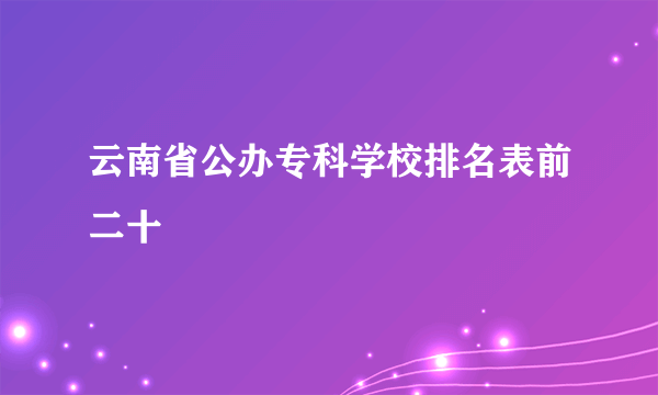 云南省公办专科学校排名表前二十