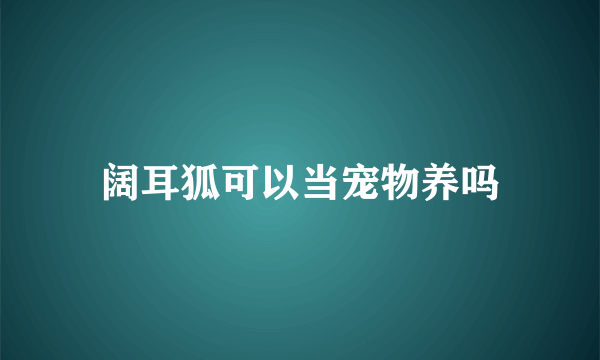 阔耳狐可以当宠物养吗