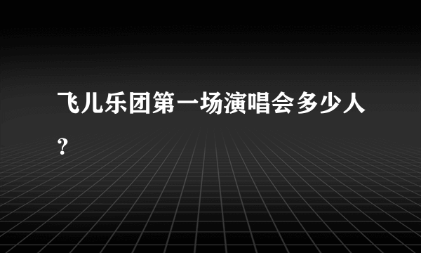 飞儿乐团第一场演唱会多少人？