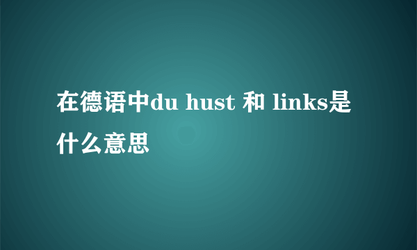 在德语中du hust 和 links是什么意思