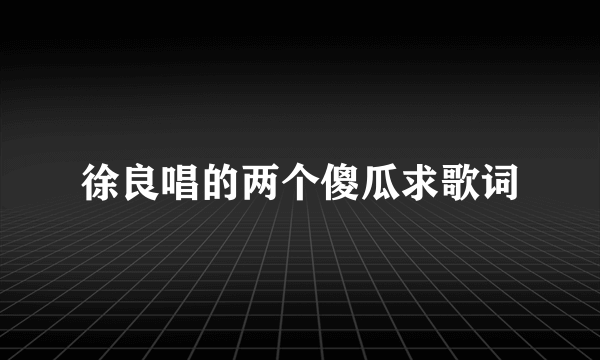 徐良唱的两个傻瓜求歌词