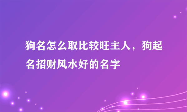 狗名怎么取比较旺主人，狗起名招财风水好的名字