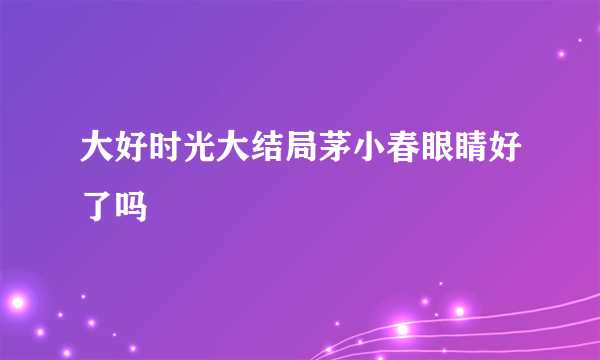 大好时光大结局茅小春眼睛好了吗