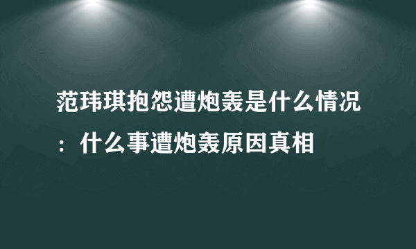 范玮琪抱怨遭炮轰是什么情况：什么事遭炮轰原因真相