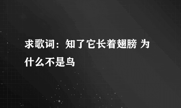 求歌词：知了它长着翅膀 为什么不是鸟