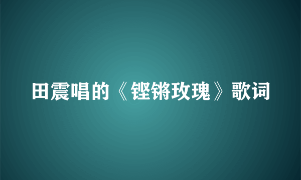 田震唱的《铿锵玫瑰》歌词