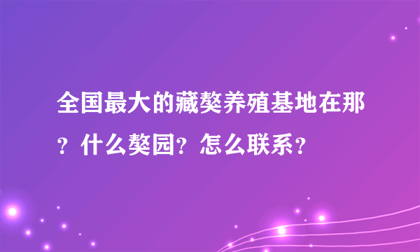 全国最大的藏獒养殖基地在那？什么獒园？怎么联系？