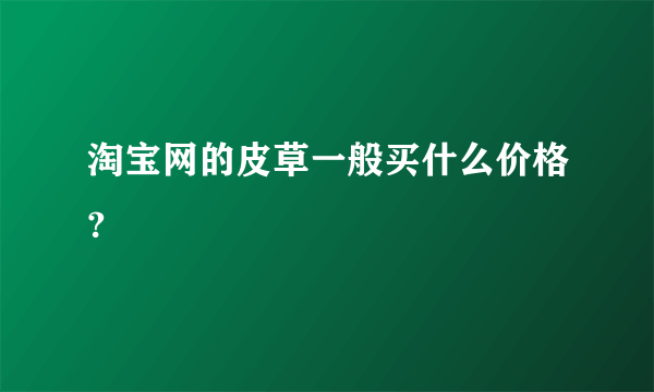 淘宝网的皮草一般买什么价格?