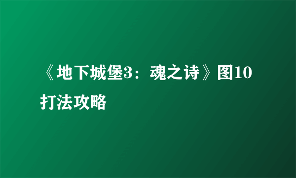 《地下城堡3：魂之诗》图10打法攻略