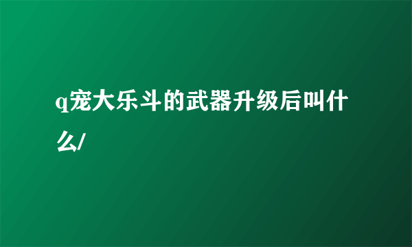 q宠大乐斗的武器升级后叫什么/