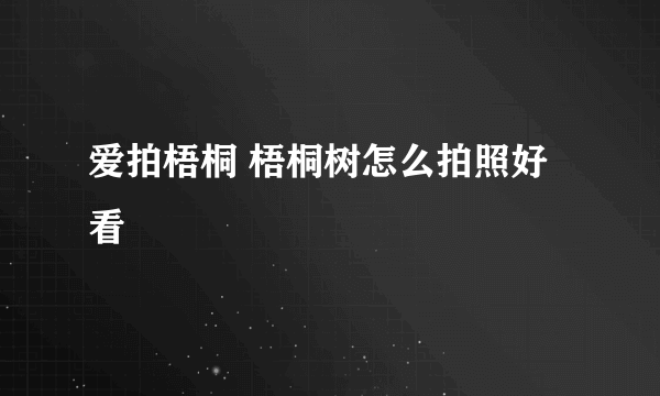 爱拍梧桐 梧桐树怎么拍照好看