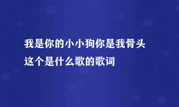 我是你的小小狗你是我骨头 这个是什么歌的歌词