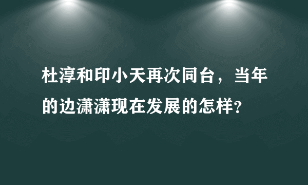 杜淳和印小天再次同台，当年的边潇潇现在发展的怎样？