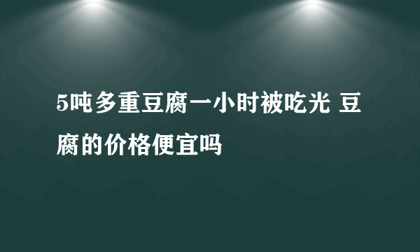 5吨多重豆腐一小时被吃光 豆腐的价格便宜吗