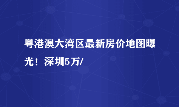 粤港澳大湾区最新房价地图曝光！深圳5万/㎡