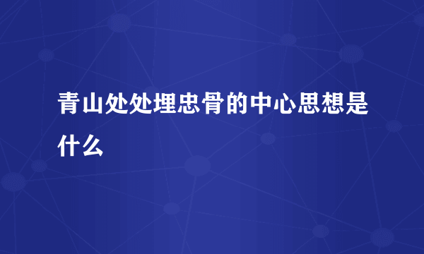 青山处处埋忠骨的中心思想是什么