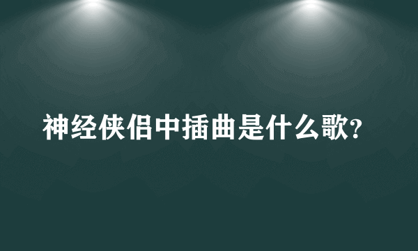 神经侠侣中插曲是什么歌？