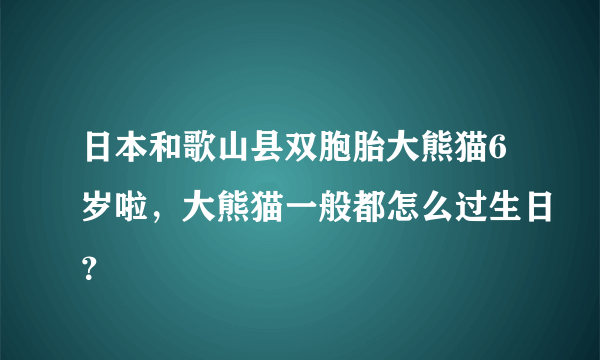 日本和歌山县双胞胎大熊猫6岁啦，大熊猫一般都怎么过生日？