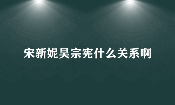 宋新妮吴宗宪什么关系啊