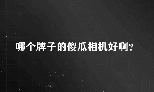 哪个牌子的傻瓜相机好啊？