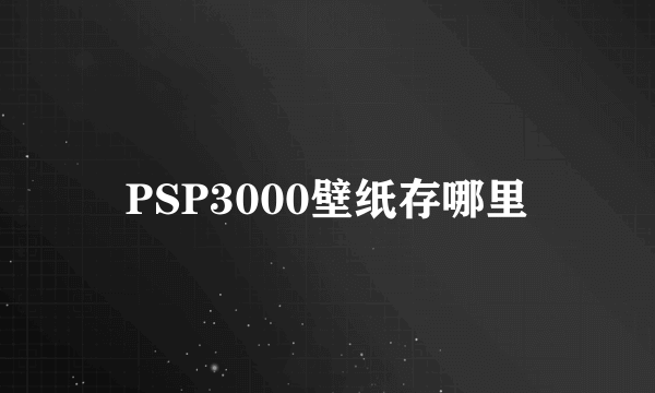 PSP3000壁纸存哪里