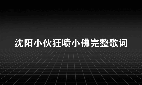 沈阳小伙狂喷小佛完整歌词