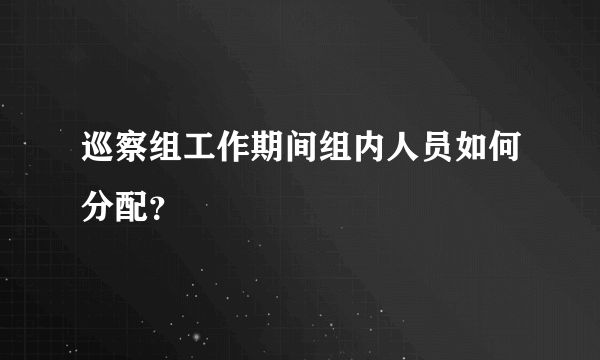 巡察组工作期间组内人员如何分配？