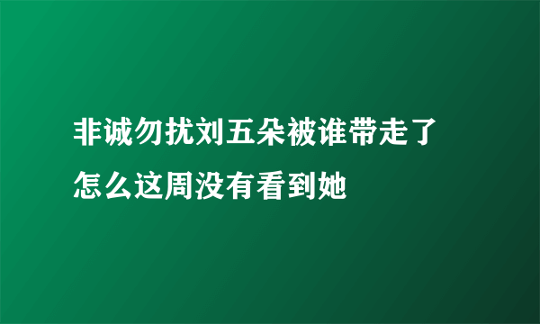 非诚勿扰刘五朵被谁带走了 怎么这周没有看到她