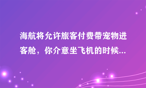 海航将允许旅客付费带宠物进客舱，你介意坐飞机的时候机舱有条狗狗吗？