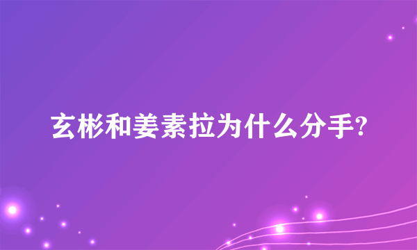 玄彬和姜素拉为什么分手?