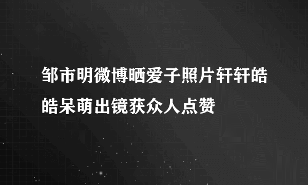 邹市明微博晒爱子照片轩轩皓皓呆萌出镜获众人点赞