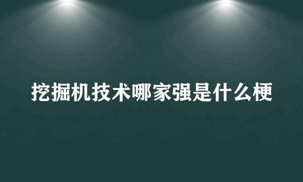 挖掘机技术哪家强是什么梗