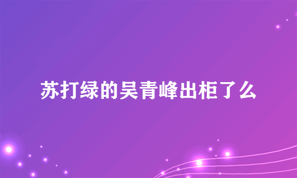 苏打绿的吴青峰出柜了么