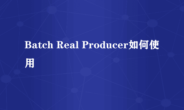 Batch Real Producer如何使用