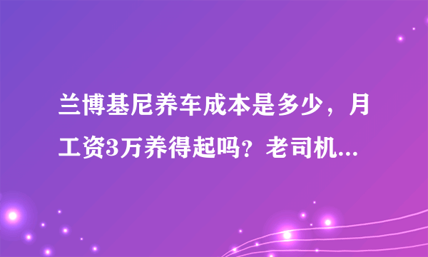 兰博基尼养车成本是多少，月工资3万养得起吗？老司机：在想屁吃