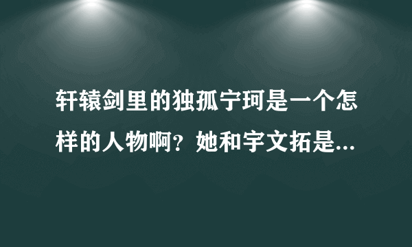 轩辕剑里的独孤宁珂是一个怎样的人物啊？她和宇文拓是什么关系？