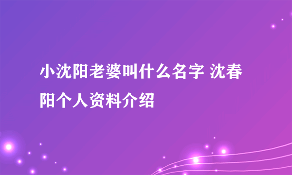 小沈阳老婆叫什么名字 沈春阳个人资料介绍