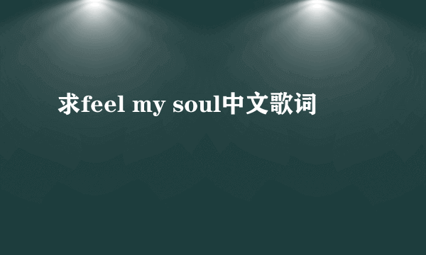 求feel my soul中文歌词