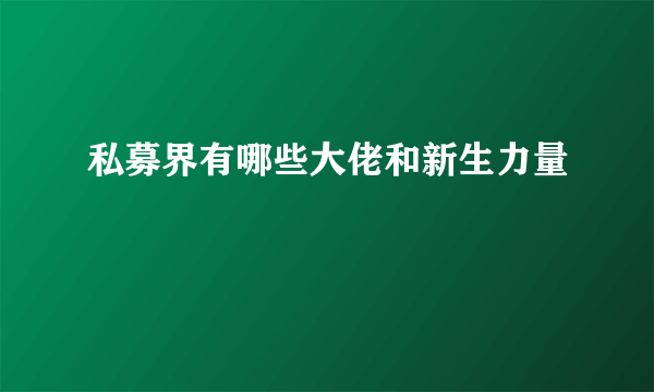 私募界有哪些大佬和新生力量