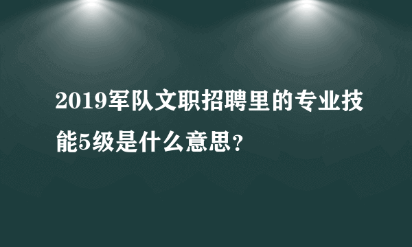 2019军队文职招聘里的专业技能5级是什么意思？