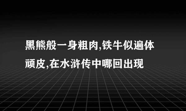 黑熊般一身粗肉,铁牛似遍体顽皮,在水浒传中哪回出现