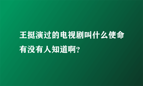 王挺演过的电视剧叫什么使命有没有人知道啊？