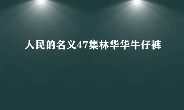 人民的名义47集林华华牛仔裤