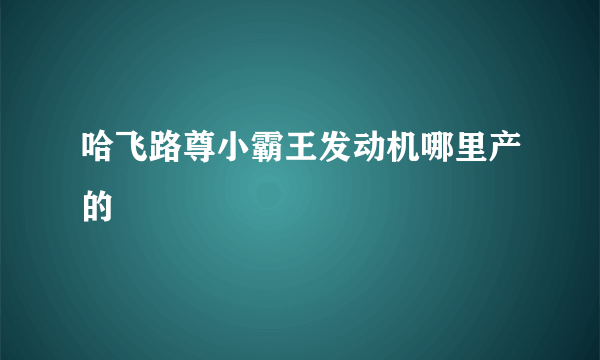 哈飞路尊小霸王发动机哪里产的