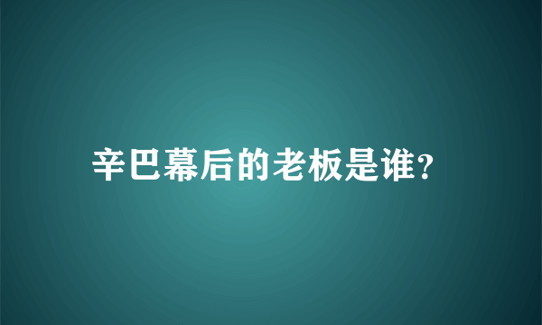 辛巴幕后的老板是谁？