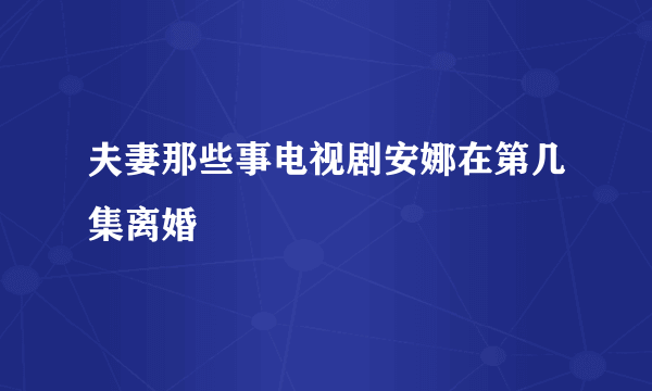 夫妻那些事电视剧安娜在第几集离婚